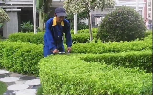 園林綠化工程施工常見誤區(qū)，您中招了嗎?