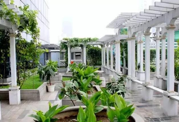 湖北凱蒂園林告訴你園林綠化工程主要包含哪些內(nèi)容？